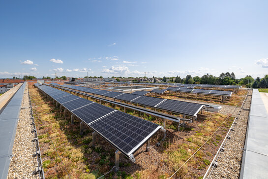 Die Photovoltaik-Module auf dem Gründach leisten einen Beitrag zur umweltfreundlichen Energieversorgung des Schulzentrums.